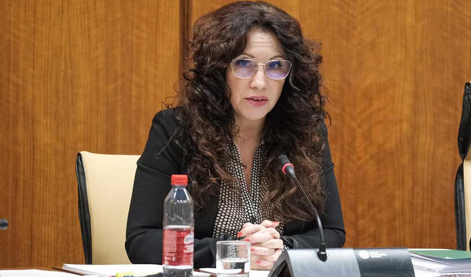 La consejera de Igualdad, Rocío Ruiz, expone en el Parlamento los presupuestos de su departamento.