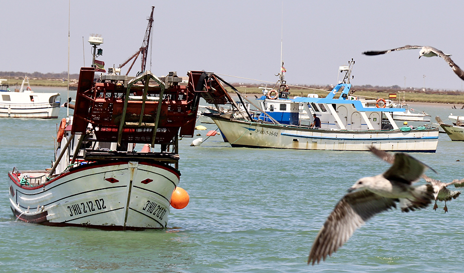 Un barco de la flota andaluza saliendo de puerto.