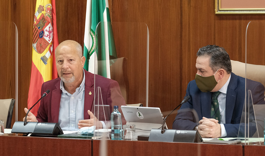 El consejero de Educación y Deporte, Javier Imbroda, durante su comparecencia en la Comisión de Hacienda del Parlamento andaluz.