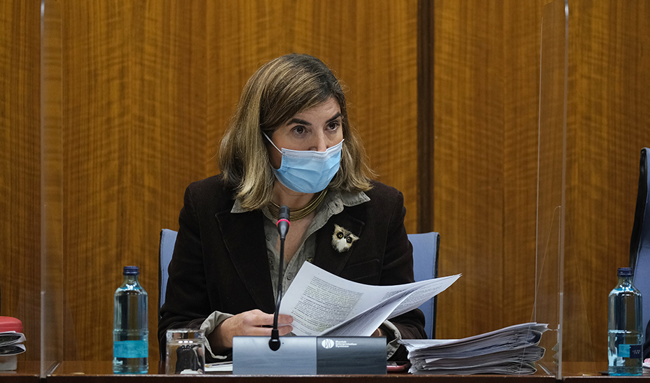 La consejera de Empleo, Rocío Blanco, durante su intervención en la comisión parlamentaria.