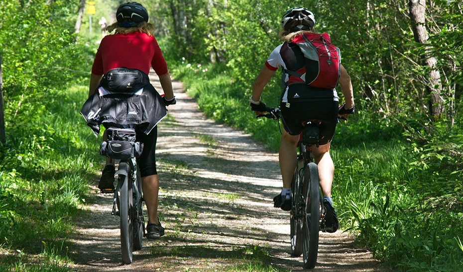 Dos ciclistas recorren un sendero en un entorno forestal.