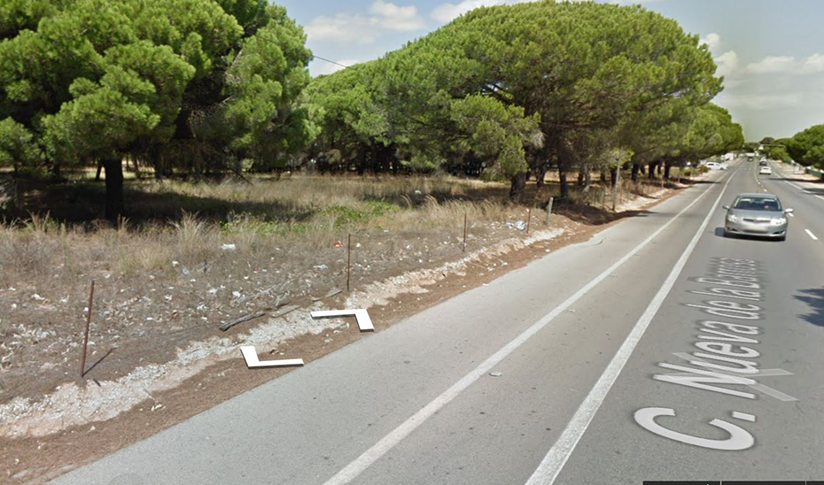 Zona de pinares donde se ha producido el accidente en Chiclana.