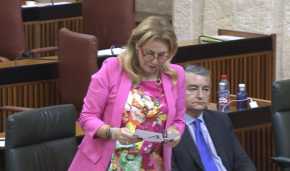 La consejera de Economía, Hacienda y Financiación Europea, Carolina España, durante el pleno del Parlamento de Andalucía.