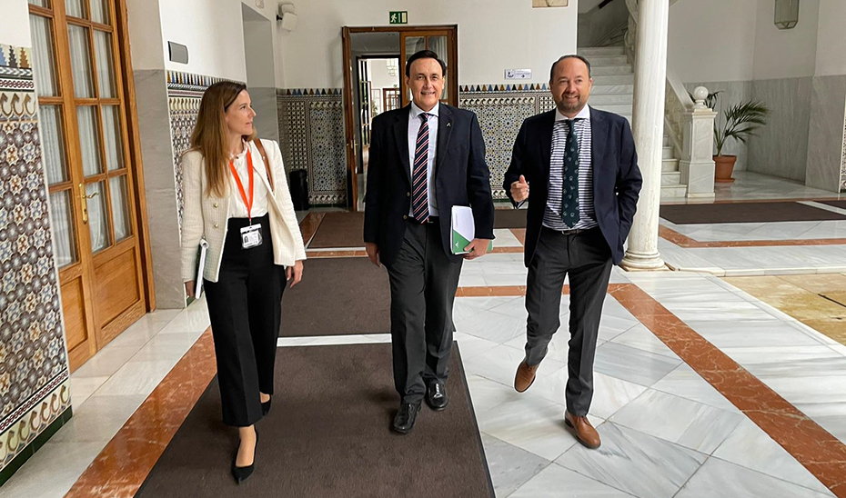 
			      El consejero José Carlos Gómez Villamandos, a su llegada al Parlamento de Andalucía para informar de los Presupuestos de su departamento.			    
			  