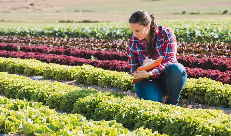 Una joven agrónoma observa el estado de unas plantaciones.