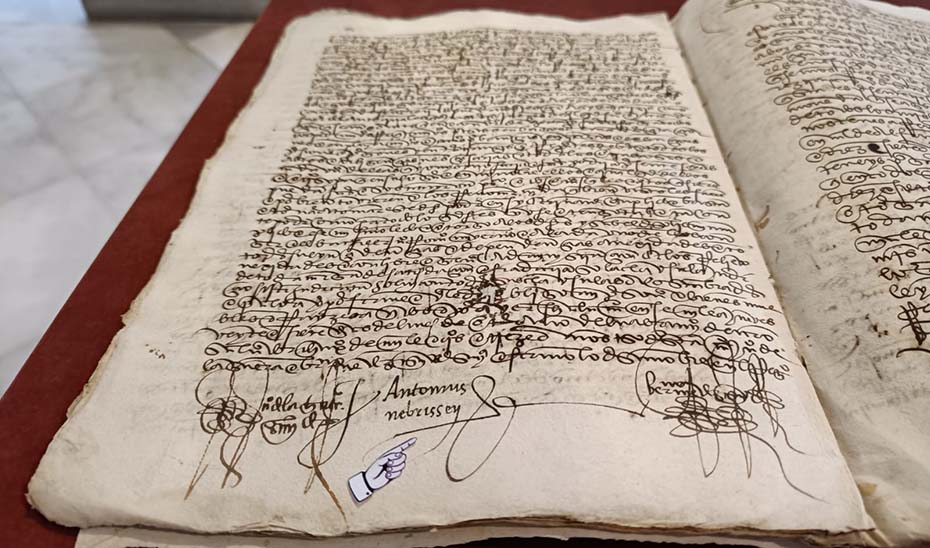 Poder que da Antonio de Lebrija, maestro cronista de sus majestades, a Isabel de Solís, su mujer, y a Juan Romero, su yerno, en la escribanía de Mateo de la Cuadra. 
