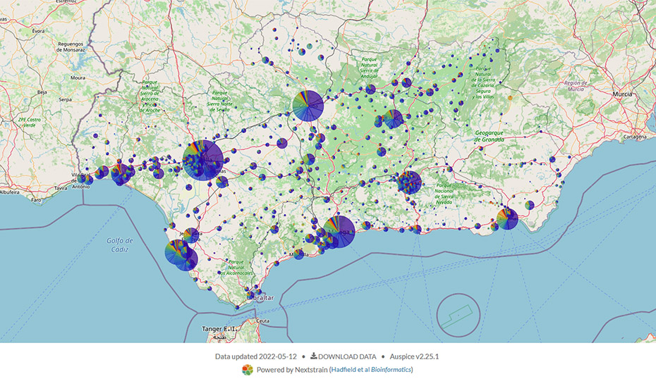 Mapa epidemiológico del coronavirus en Andalucía, con los datos del 12 de mayo pasado.