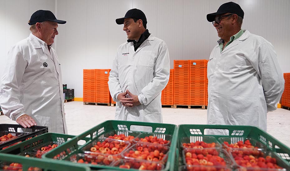 El presidente de la Junta, en las instalaciones de Onubafruit, observa la producción de frutos rojos.