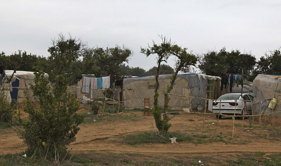 Asentamiento chabolista de temporeros en los alrededores de Lepe (Foto: EFE).