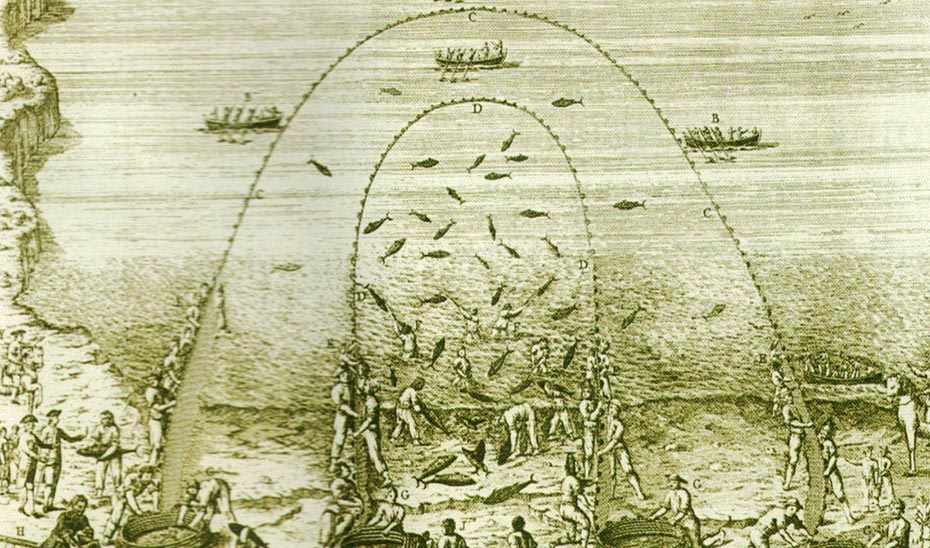 Representación de una almadraba de vista o tiro. (Sáñez Reguart, 1791, tomo I, 49, lámina VI.)