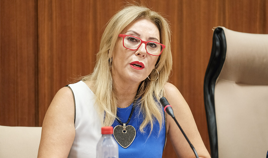 La consejera de Economía, Hacienda y Fondos Europeos, Carolina España, en comisión parlamentaria.