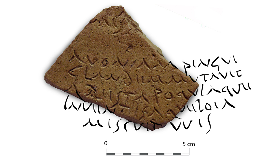 Imagen del artículo El Museo Arqueológico de Córdoba exhibe el fragmento de ánfora con versos de Virgilio