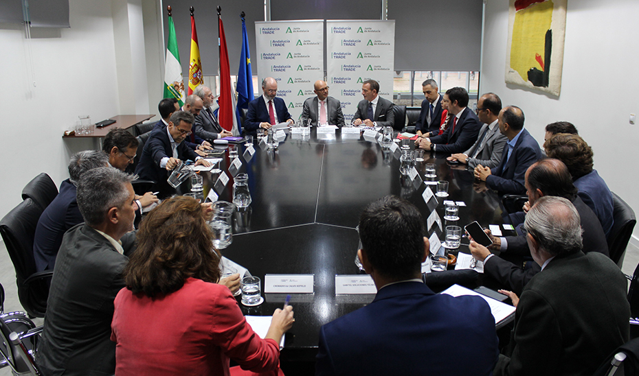 Reunión mantenida por Andalucía TRADE y la Embajada de Países Bajos en España para organizar un foro empresarial sobre las oportunidades del hidrógeno verde.