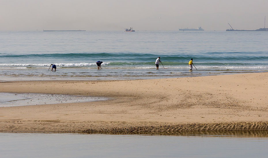 
			      Un grupo de mariscadores de a pie faenan en la playa.			    
			  