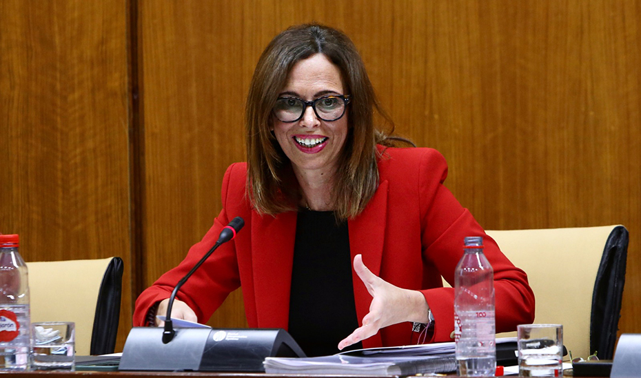 La consejera Rocío Díaz explica los presupuestos de su departamento en la comisión parlamentaria de Fomento, Articulación del Territorio y Vivienda.