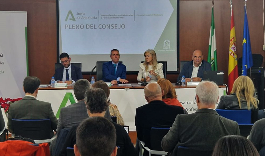 Imagen del artículo Del Pozo comparece ante el Consejo Escolar para exponer los retos de futuro de la educación andaluza