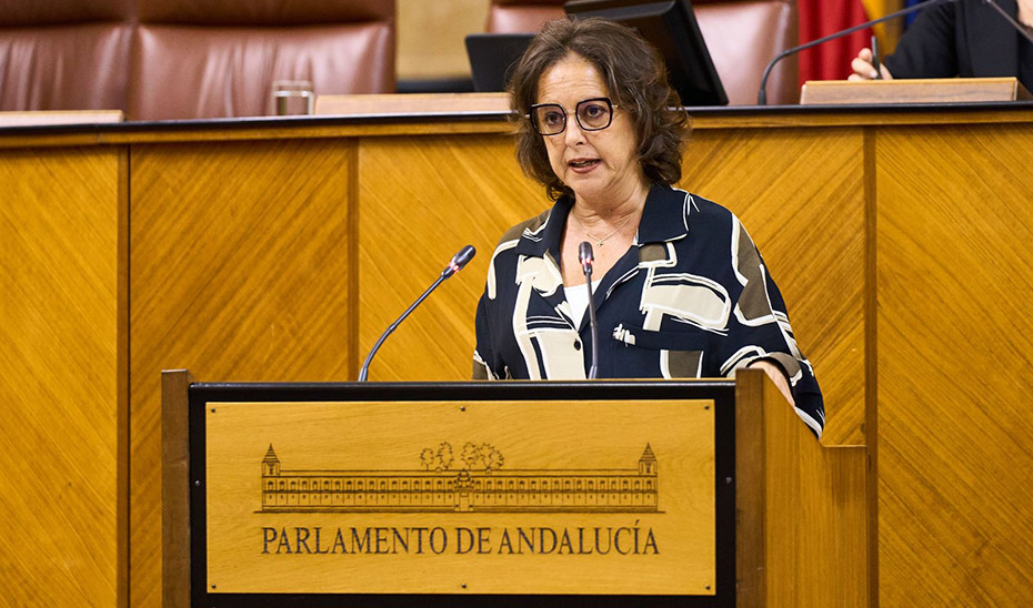 Imagen del artículo El proyecto de Ley del Instituto de Salud de Andalucía supera el debate de totalidad en el Parlamento