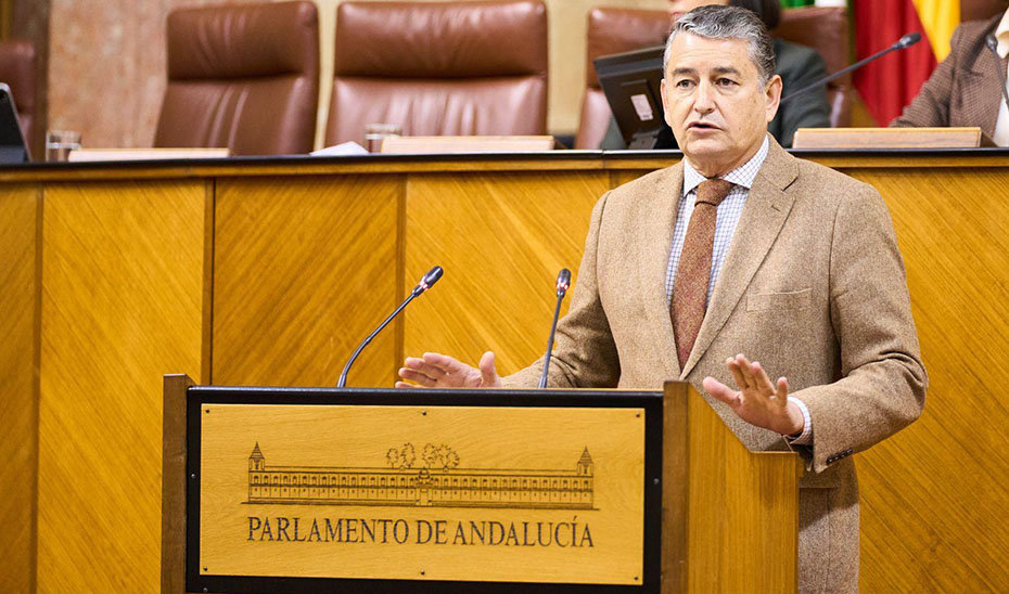 El consejero de la Presidencia, Antonio Sanz, durante su intervención en el pleno parlamentario.