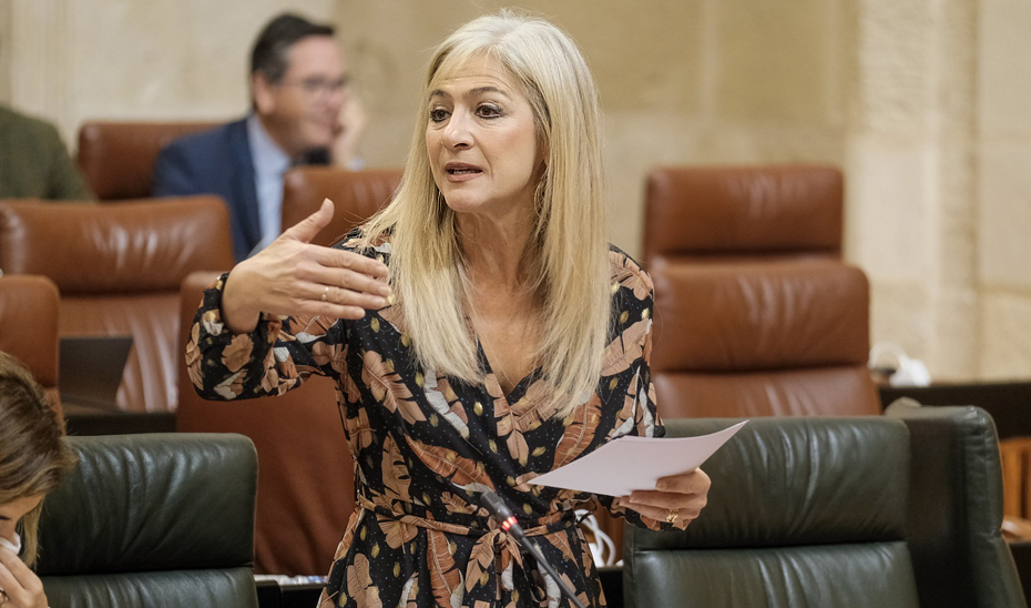 
			      La consejera de Desarrollo Educativo y Formación Profesional, Patricia del Pozo, durante su intervención en la sesión de control en el Parlamento.			    
			  