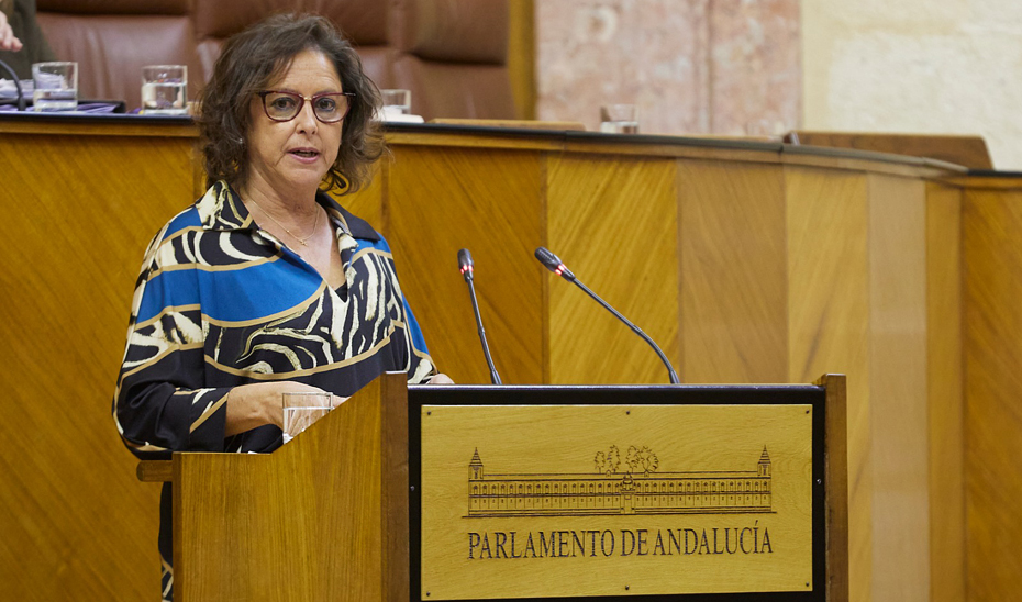 La consejera de Salud y Consumo de la Junta de Andalucía, Catalina García, durante su comparecencia ante el Pleno del Parlamento andaluz.