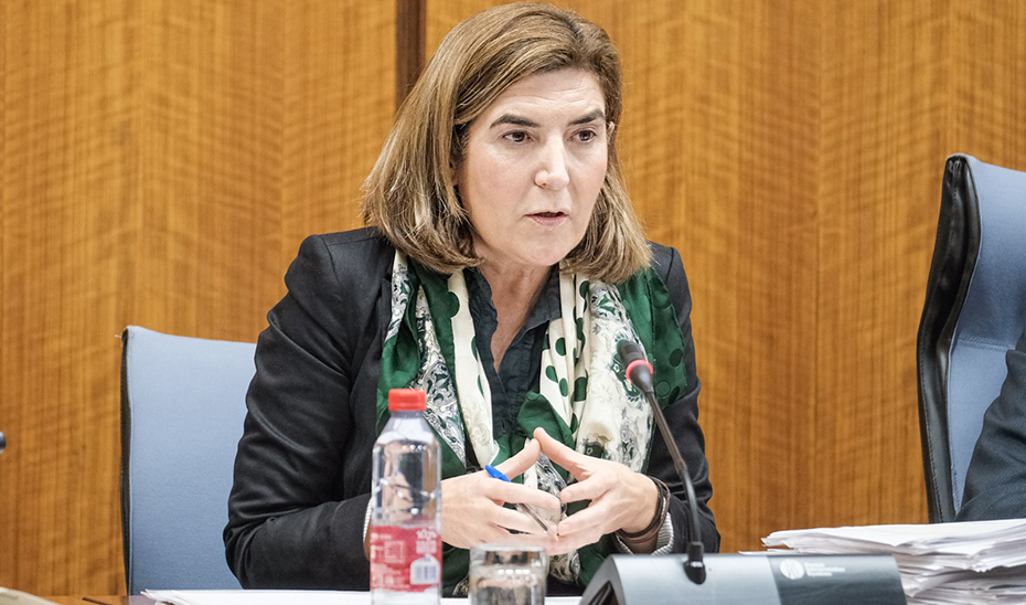 
			      La consejera de Empleo, Empresas y Trabajo Autónomo, durante la comisión parlamentaria.			    
			  
