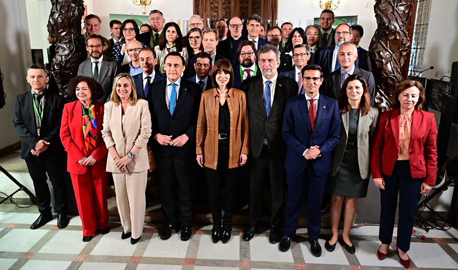 
			      Los miembros del DONES Steering Committee en Granada, con presencia de representantes de 15 países europeos y Japón.			    
			  