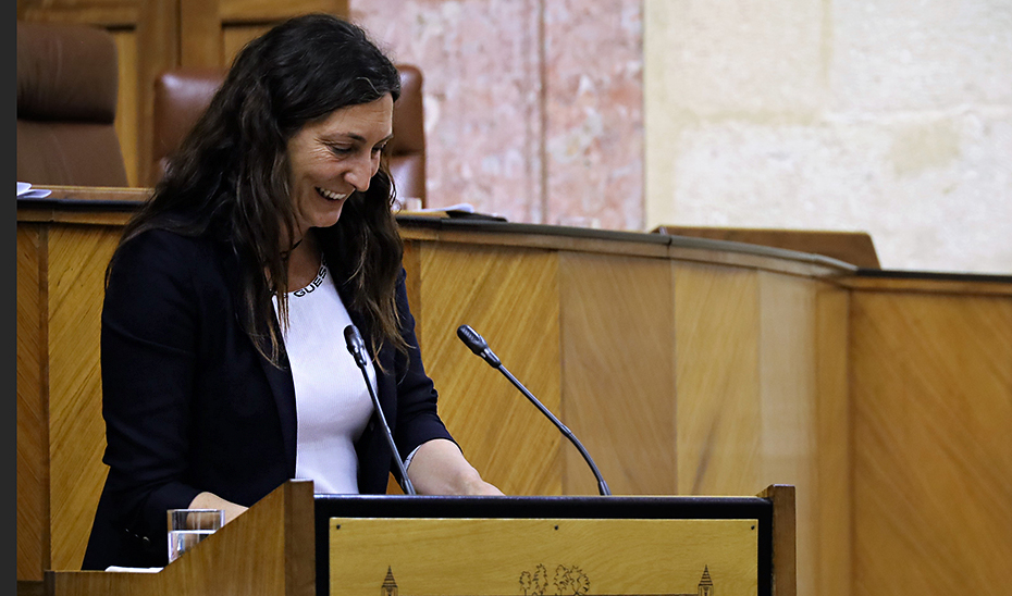 
			      La consejera de Inclusión Social, desde la tribuna del salón de Plenos del Parlamento, se dirige a los diputados andaluces.			    
			  
