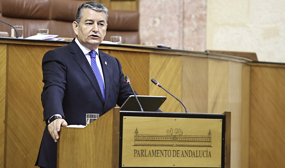 
			      El consejero de la Presidencia, Antonio Sanz, durante su intervención en el Pleno del Parlamento.			    
			  
