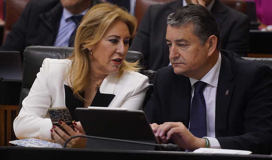 La consejera de Economía, Carolina España, junto al consejero de la Presidencia, Antonio Sanz, en un momento del Pleno.