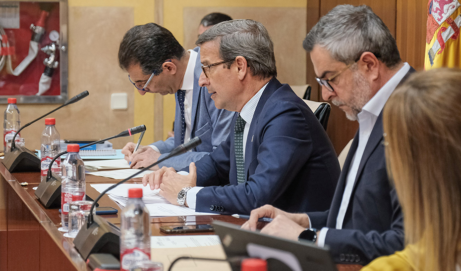 
			      El consejero de Política Industrial, Jorge Paradela, interviene durante la comisión parlamentaria.			    
			  