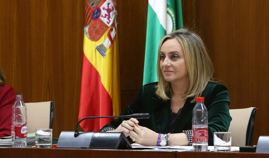 La consejera de Fomento, Articulación del Territorio y Vivienda, Marifrán Carazo, durante su comparecencia en la Comisión de Fomento del Parlamento.