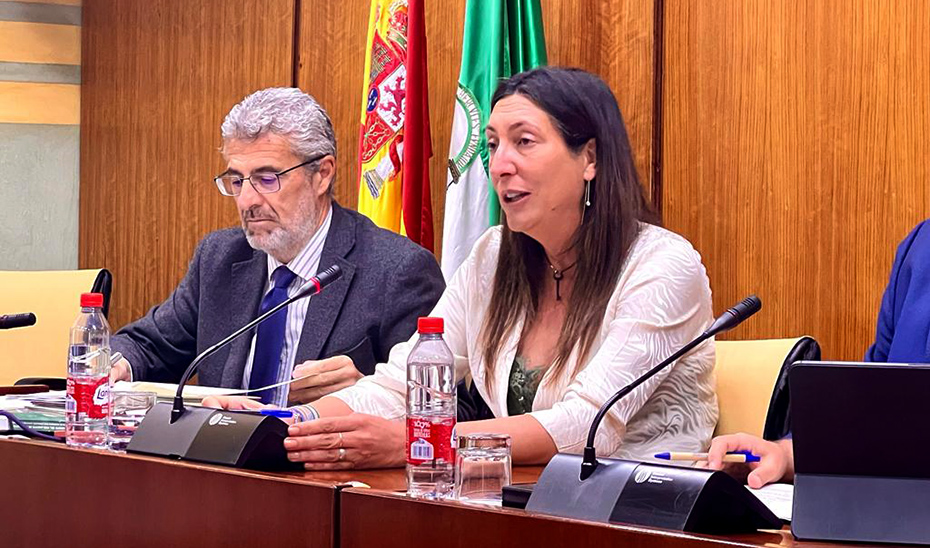 La consejera de Inclusión Social, Loles López, durante la comisión parlamentaria.