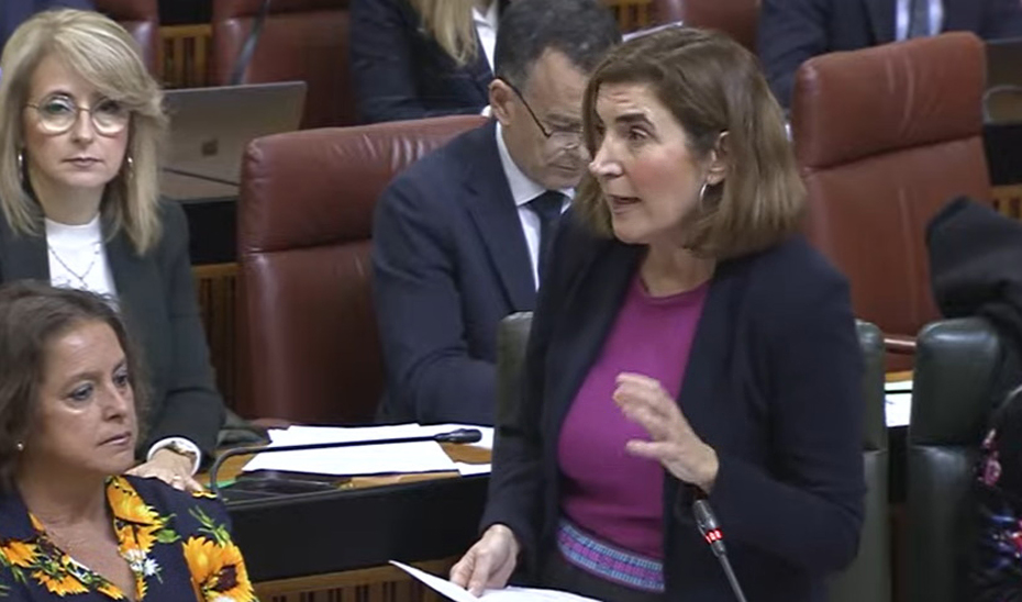 
			      La consejera de Empleo, Empresa y Trabajo Autónomo, Rocío Blanco, durante la sesión de control en el Parlamento.			    
			  