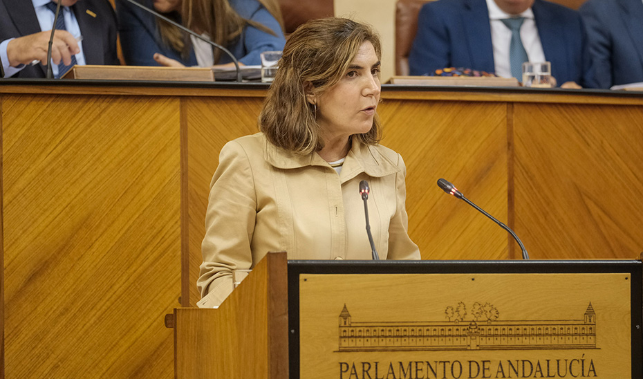 La consejera de Empleo, Empresas y Trabajo Autónomo, Rocío Blanco, defiende ante el Pleno el decreto ley 1/2023.
