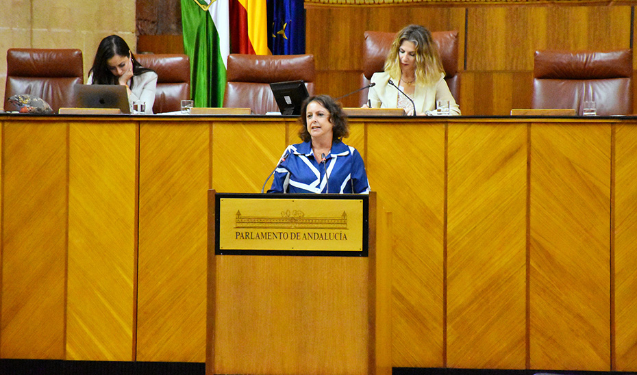 La consejera de Salud, Catalina García, durante su intervención en el pleno parlamentario.