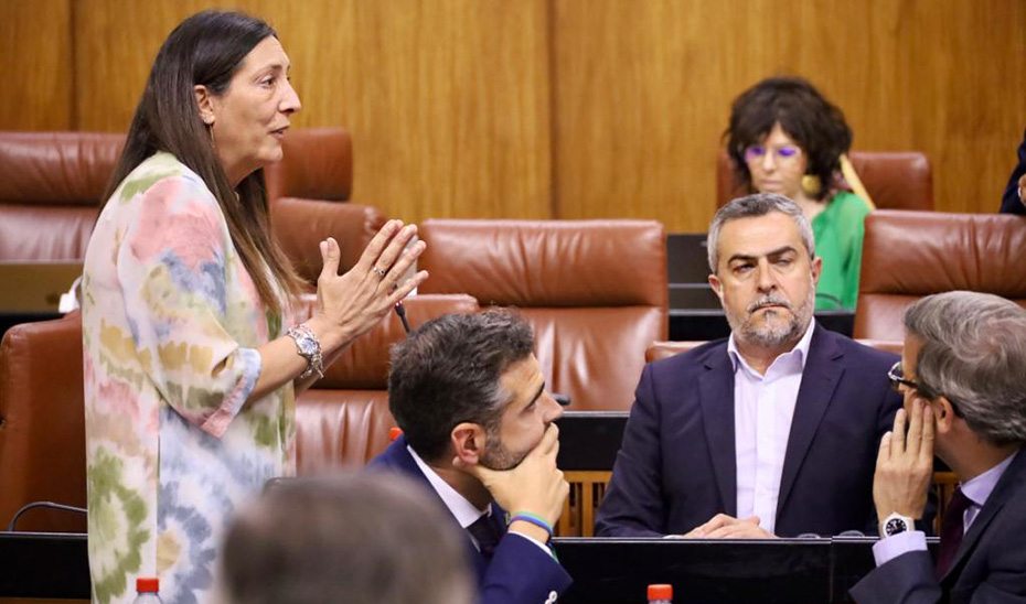 La consejera de Inclusión Social, Loles López, responde a una pregunta parlamentaria durante el pleno.
