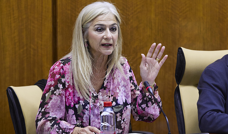 Patricia del Pozo, consejera de Desarrollo Educativo y Formación Profesional, en comisión parlamentaria.