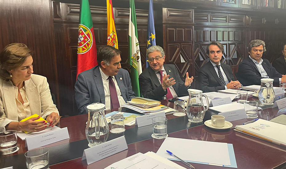 
			      Un momento de la reunión mantenida en Sevilla, en la que han participado por parte del Gobierno andaluz, entre otros, el viceconsejero de Fomento...
			  