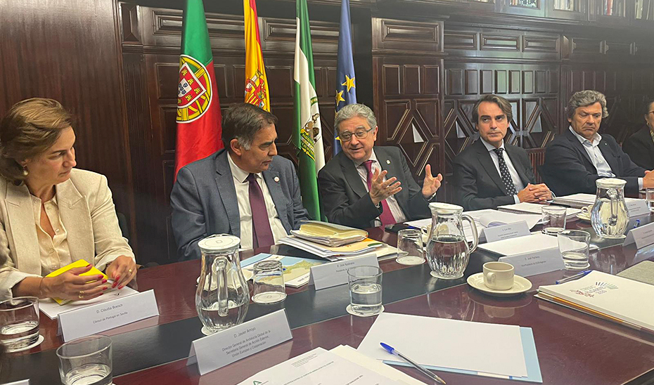 
			      Un momento de la reunión mantenida en Sevilla, en la que han participado por parte del Gobierno andaluz, entre otros, el viceconsejero de Fomento...
			  