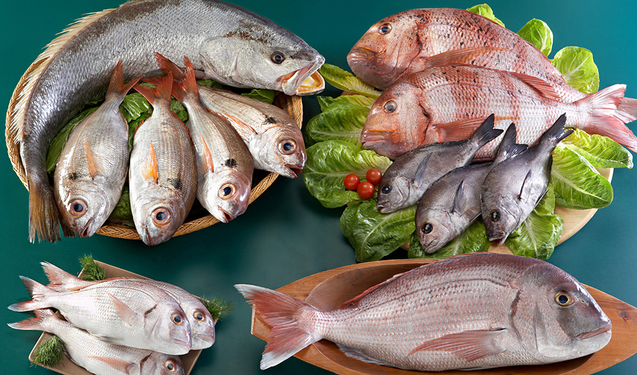 
			      Productos pesqueros andaluces procedente de la pesca y la acuicultura de la comunidad.			    
			  