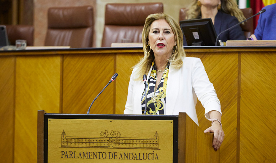 La consejera de Economía, Carolina España, se dirige a los diputados andaluces durante la sesión plenaria. 