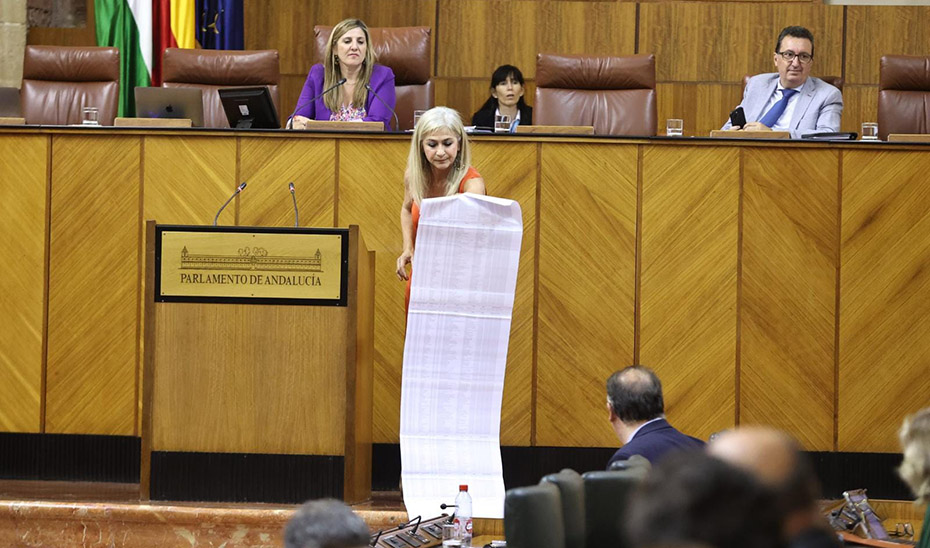 
			      La consejera de Desarrollo Educativo y Formación Profesional, Patricia del Pozo, informa en el Parlamento de Andalucía.			    
			  