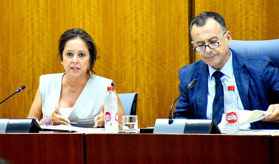La consejera de Salud y Consumo, Catalina García, responde a las preguntas en la Comisión parlamentaria.