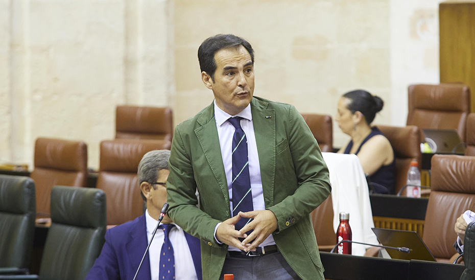 
			      José Antonio Nieto, en el Parlamento andaluz (Foto Archivo).			    
			  