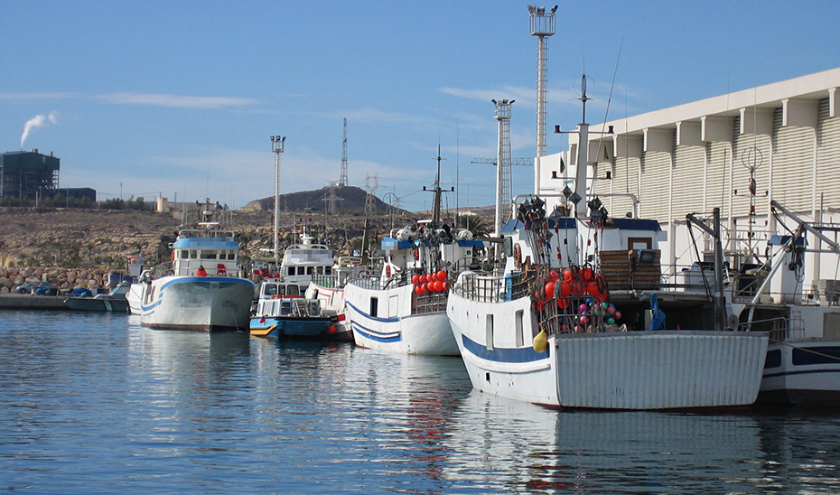 
			      Barcos de la flota pesquera andaluza, amarrados a puerto.			    
			  