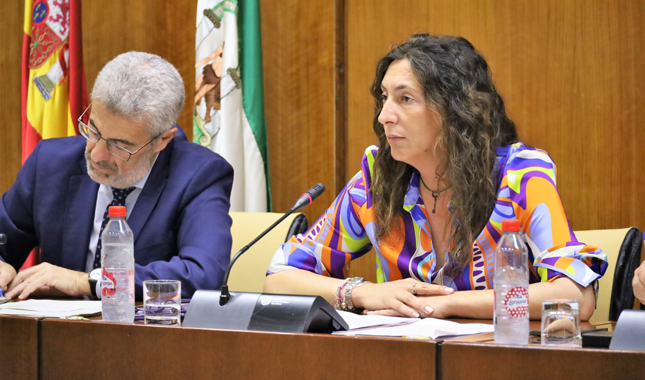 La consejera de Inclusión Social, Juventud, Familias e Igualdad, Loles López, durante su comparecencia en la Comisión de Inclusión Social, Juventud, Familias e Igualdad del Parlamento.