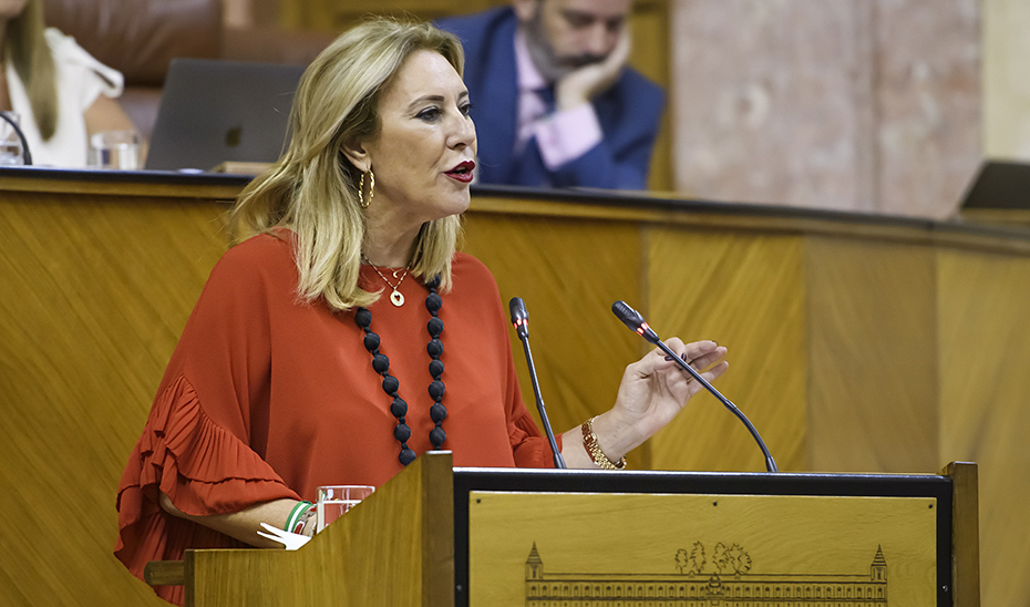 La consejera de Economía, Carolina España, se dirige a los diputados andaluces durante la primera sesión del pleno, este miércoles (Foto EFE).