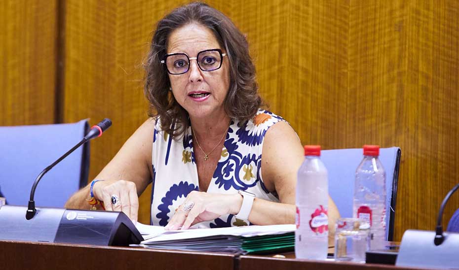 La consejera de Salud y Consumo, Catalina García, en un momento de su intervención en la comisión parlamentaria.