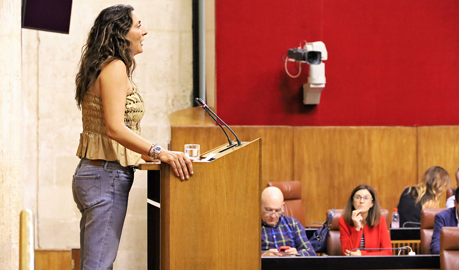 La consejera Loles López se dirige a la Cámara andaluza desde la tribuna del salón de Plenos.