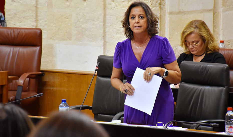 
			      Catalina García, consejera de Salud, interviene durante la sesión de control al Gobierno en el Pleno del Parlamento andaluz.			    
			  